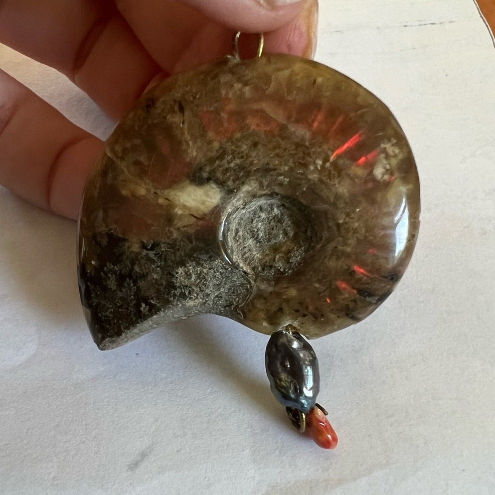 2.5″ Rainbow Ammonite Fossil Shell Pendant w/ Natural Black & Red Pearl Accents