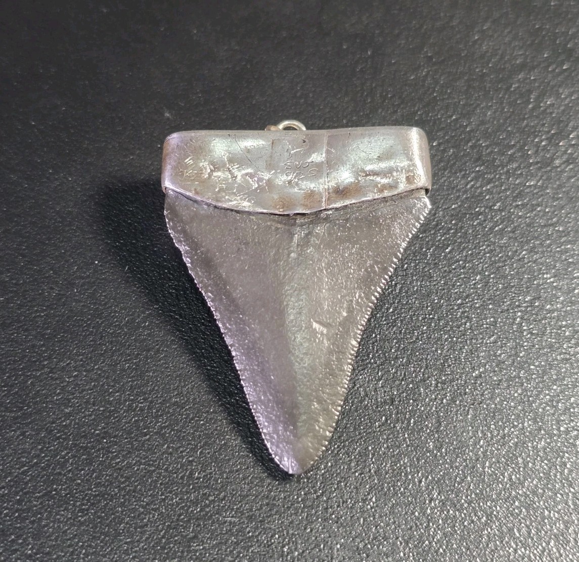 Vintage Mid-Century Brutalist Sterling Silver Fossil Shark Tooth Pendant