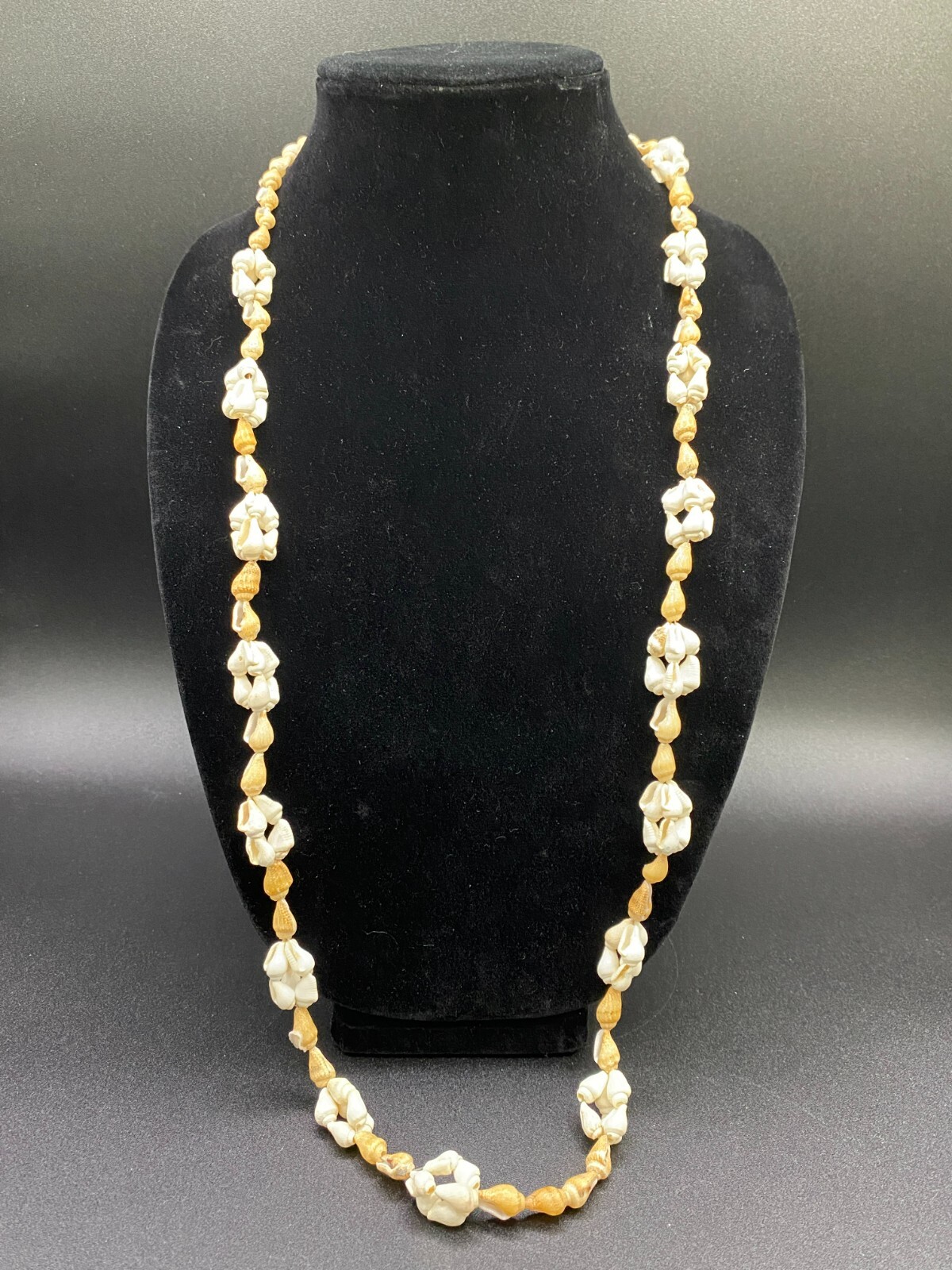 Necklace Conch Shell White and Beige