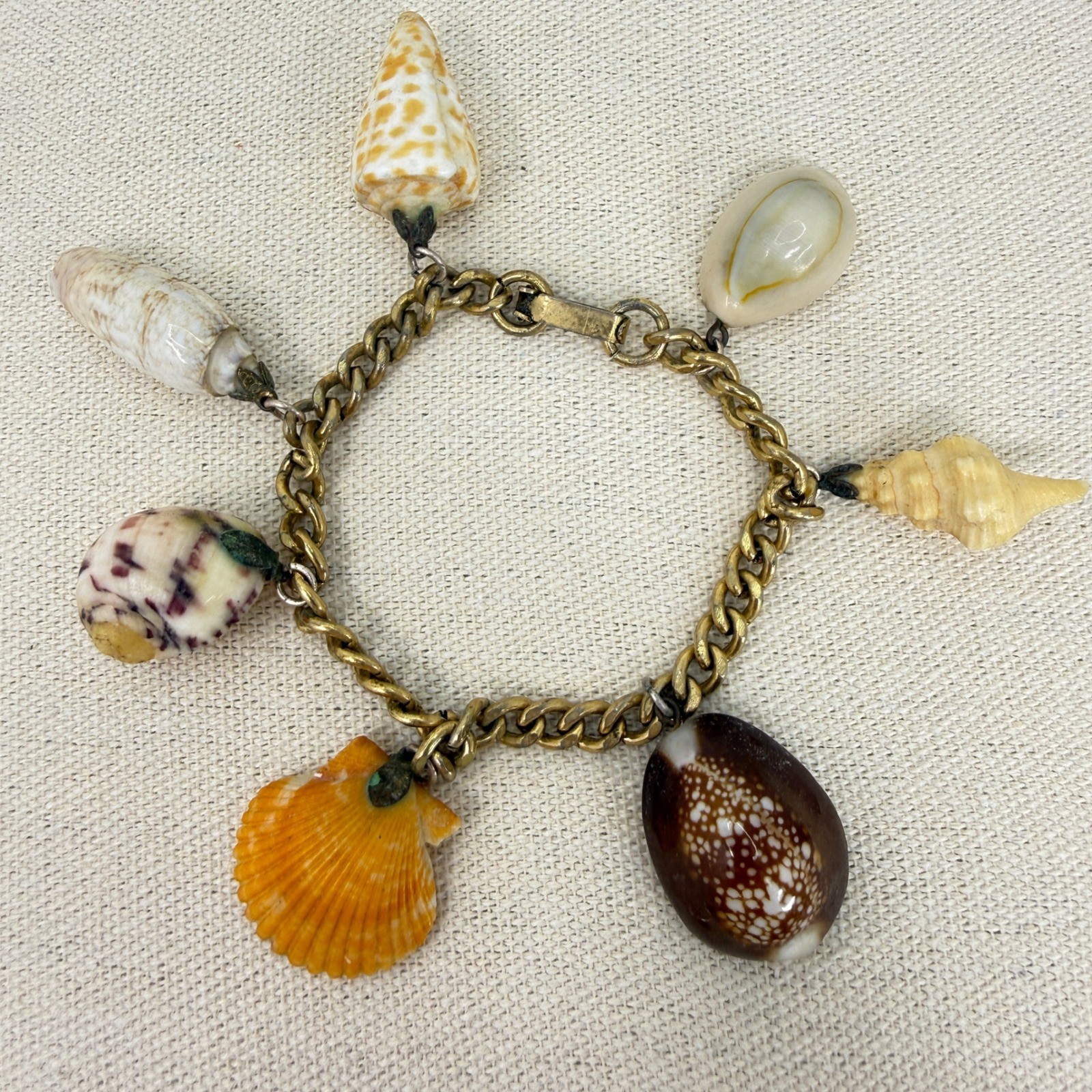 Sea Shell Charm Bracelet Vintage Natural Gold Tone Curb Chain Boho Coastal