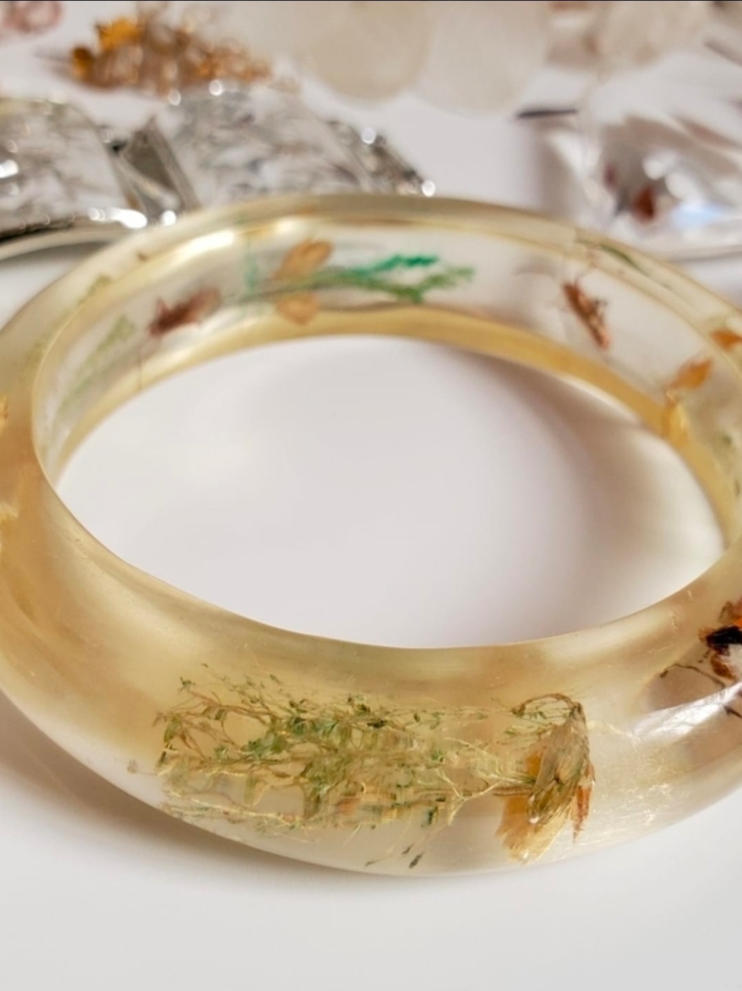 Vintage Bontanical Flora & Insect Lucite Bangle