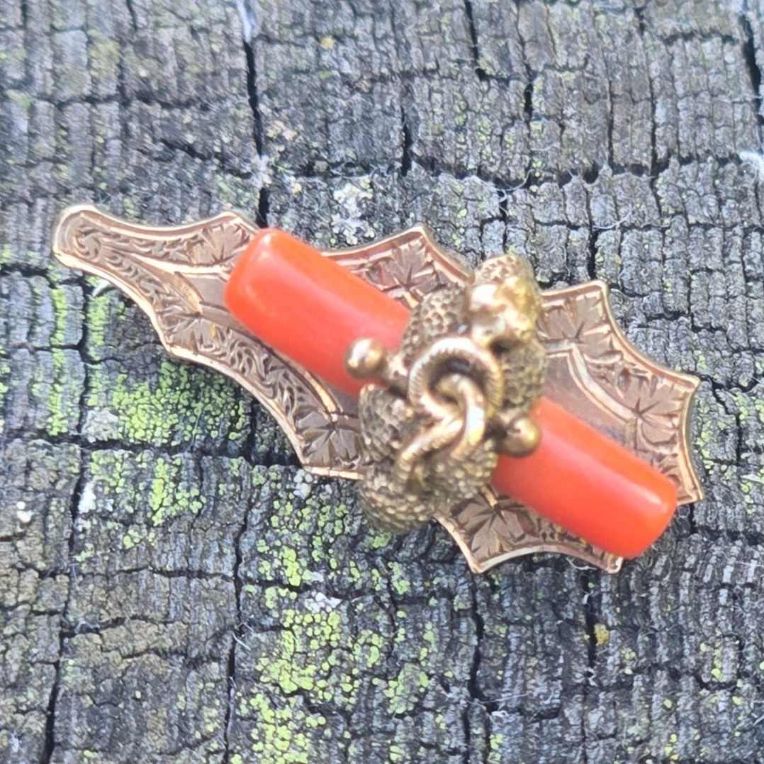 Antique Victorian 14K Gold Snake Brooch Coral Serpent Estate Jewelry mourning pi