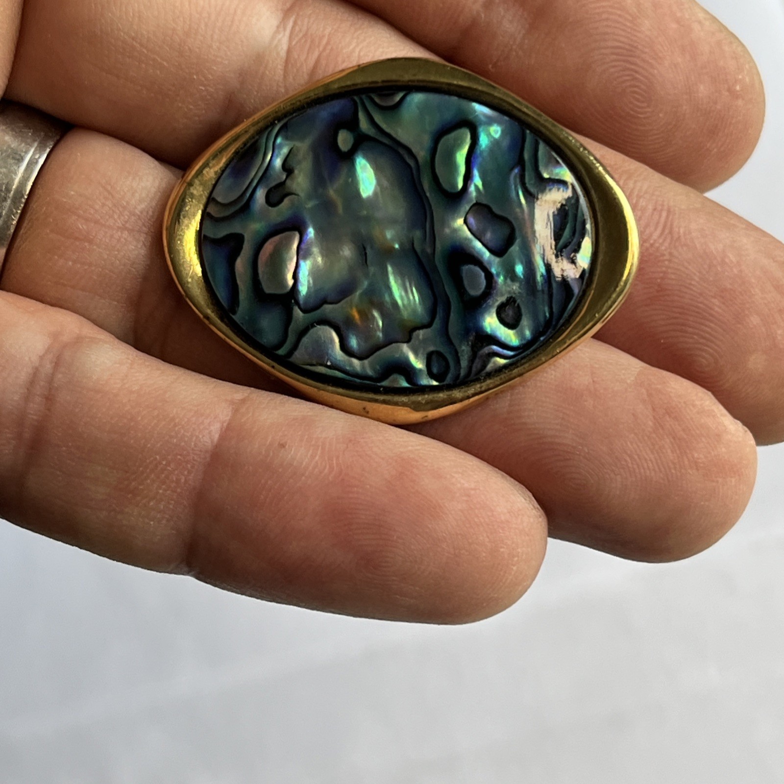 Vintage New Zealand Paua Shell ABALONE Brooch / Pin Oval
