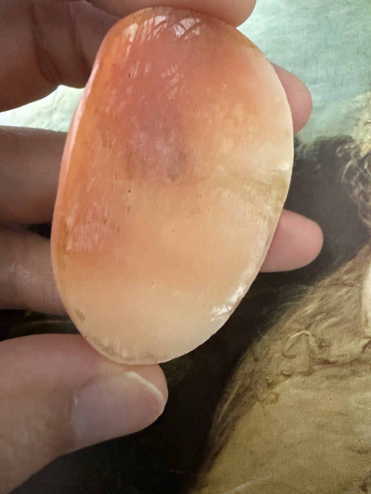 LARGE Victorian Loose Italian Carved Shell Cameo 52x39mm.