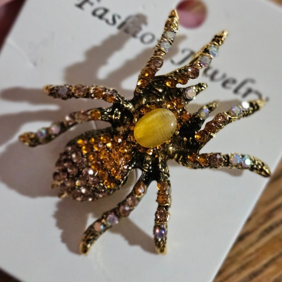 Boutique Witchy Whimsygoth Gothic Punk Grunge Retro Grannycore Spider Brooch