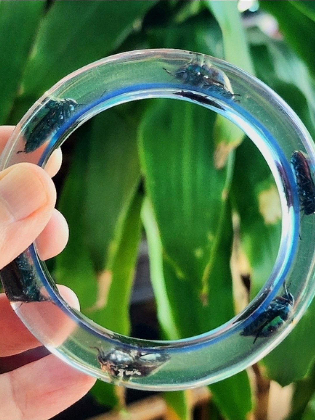 Vintage Blueberry Juice Lucite Beetle Bangle