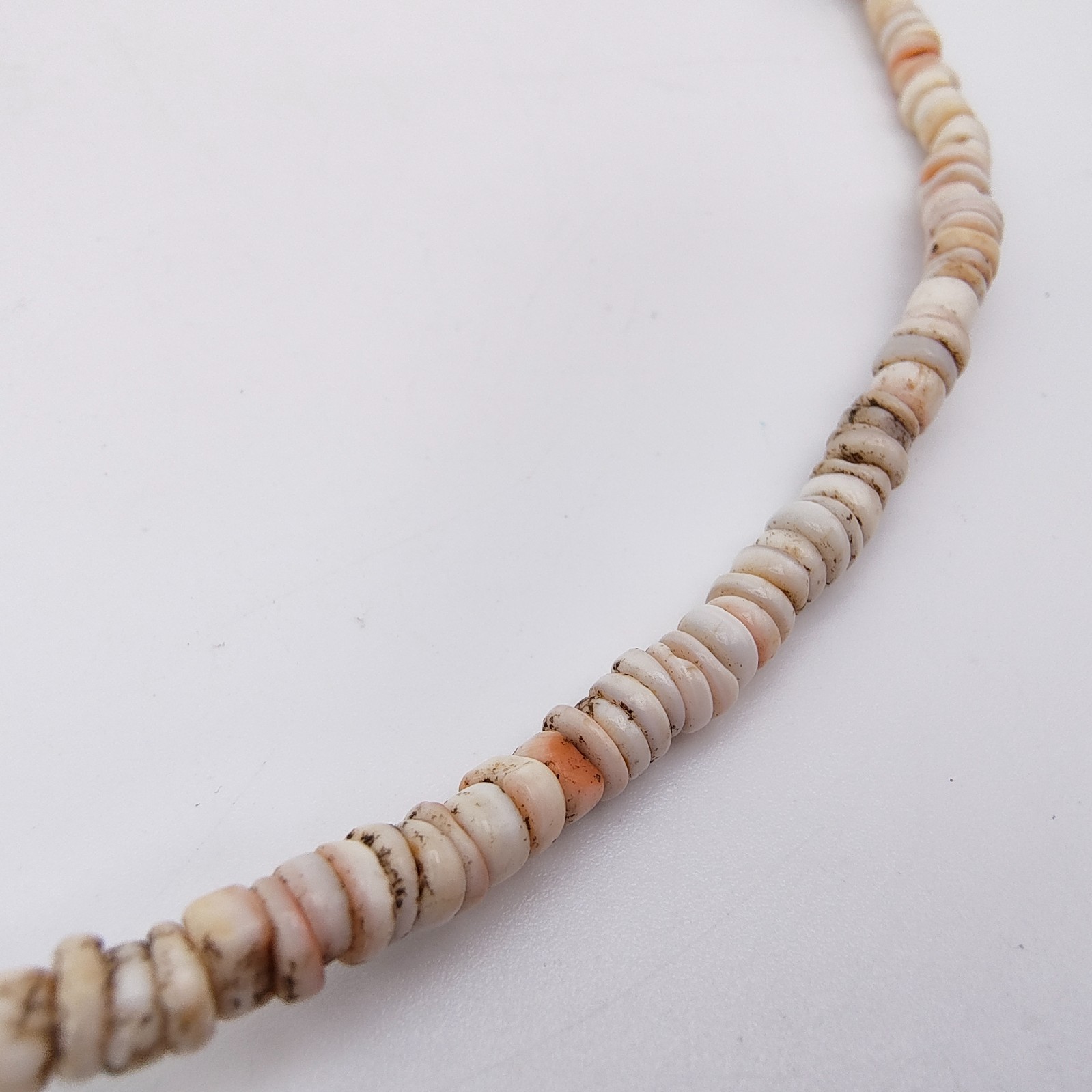 Vintage Spiny Shell Choker Necklace Natural Bohemian Beach Surfer Vibe 16″