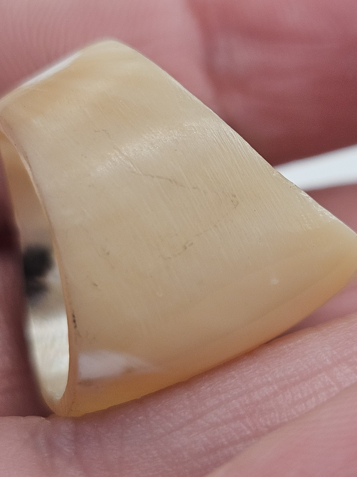 Vintage Natural Sea Shell Band Ring Size 5