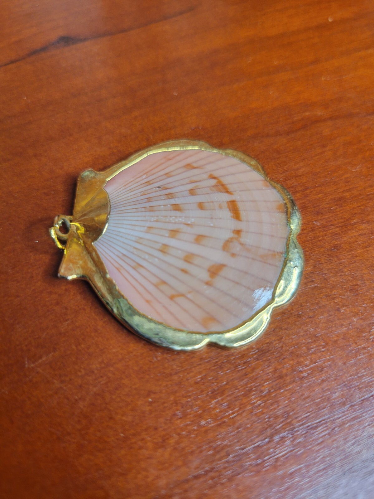 Natural Sea Shell Gold Trim Pendant