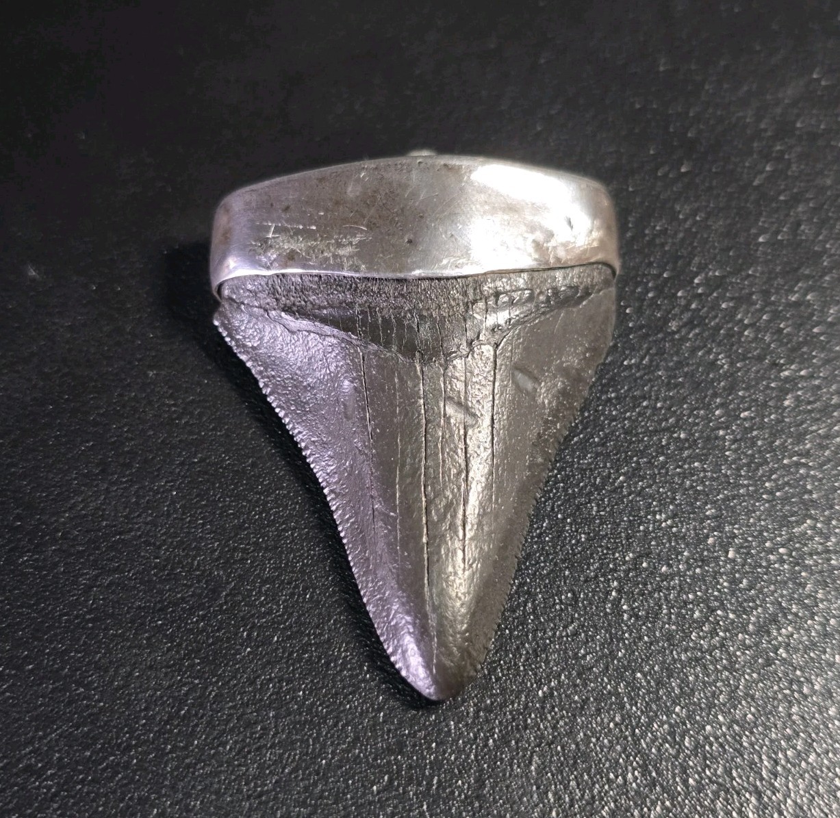 Vintage Mid-Century Brutalist Sterling Silver Fossil Shark Tooth Pendant