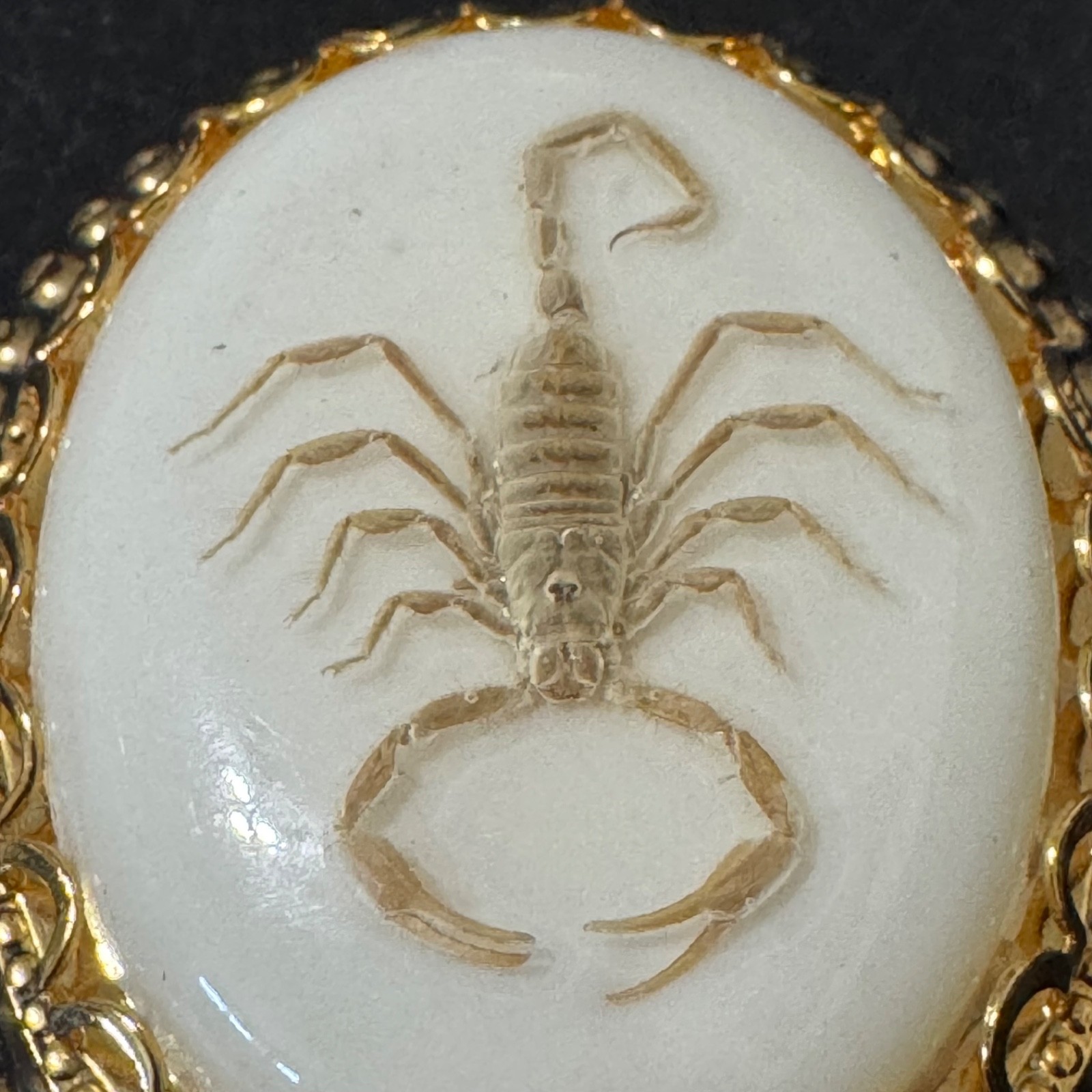 Vintage Real Scorpion Pendant Chunky Oval Scorpio Witchy Punk Goth Arachnid
