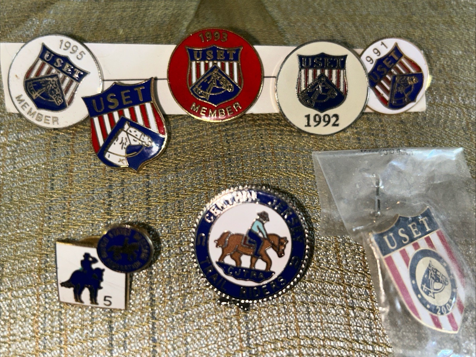 USET Equestrian Team Lettered Pin Red, White Blue Gold Tone Set Of 6 Plus 2 More