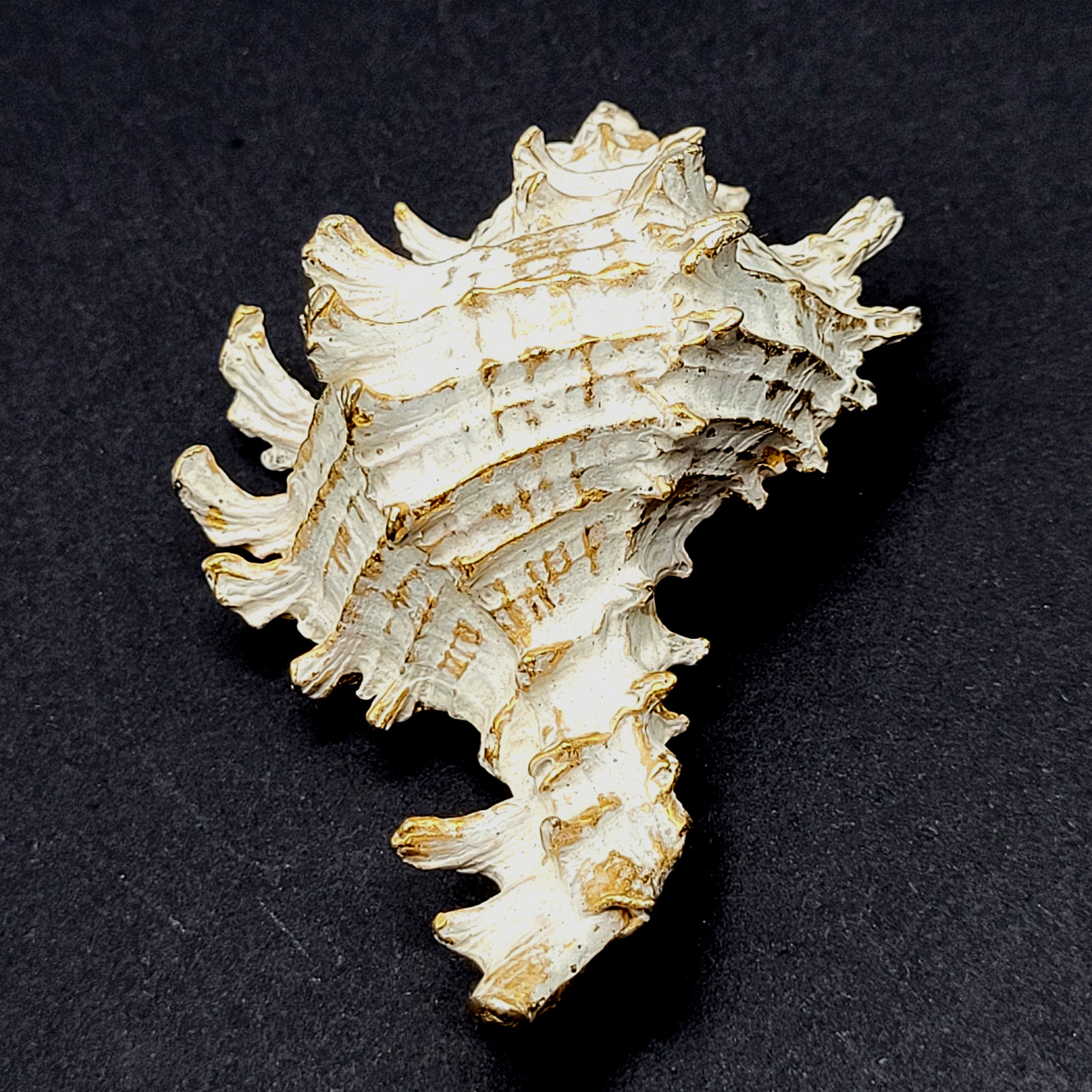 Zentall Gilded Branched Ramose Murex Spiked Conch Vintage Brooch Pin Rare