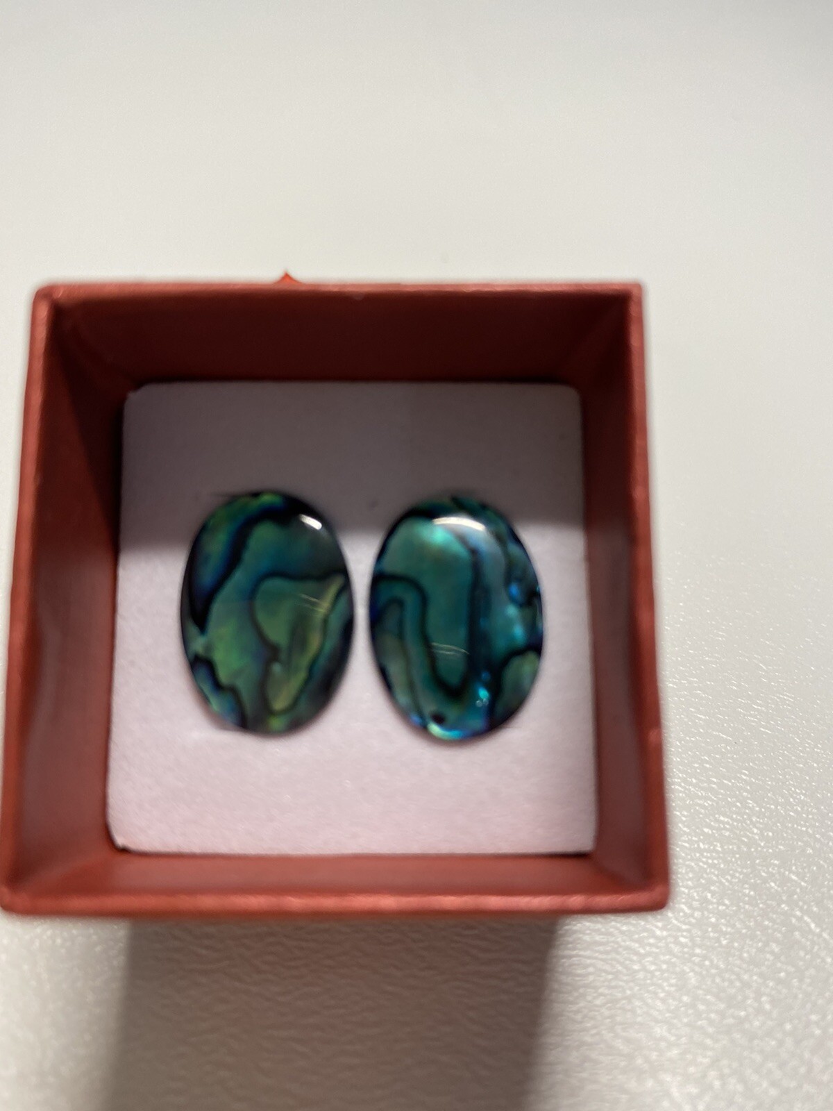 Beautiful Abalone/Paua Shell Pierced Earrings