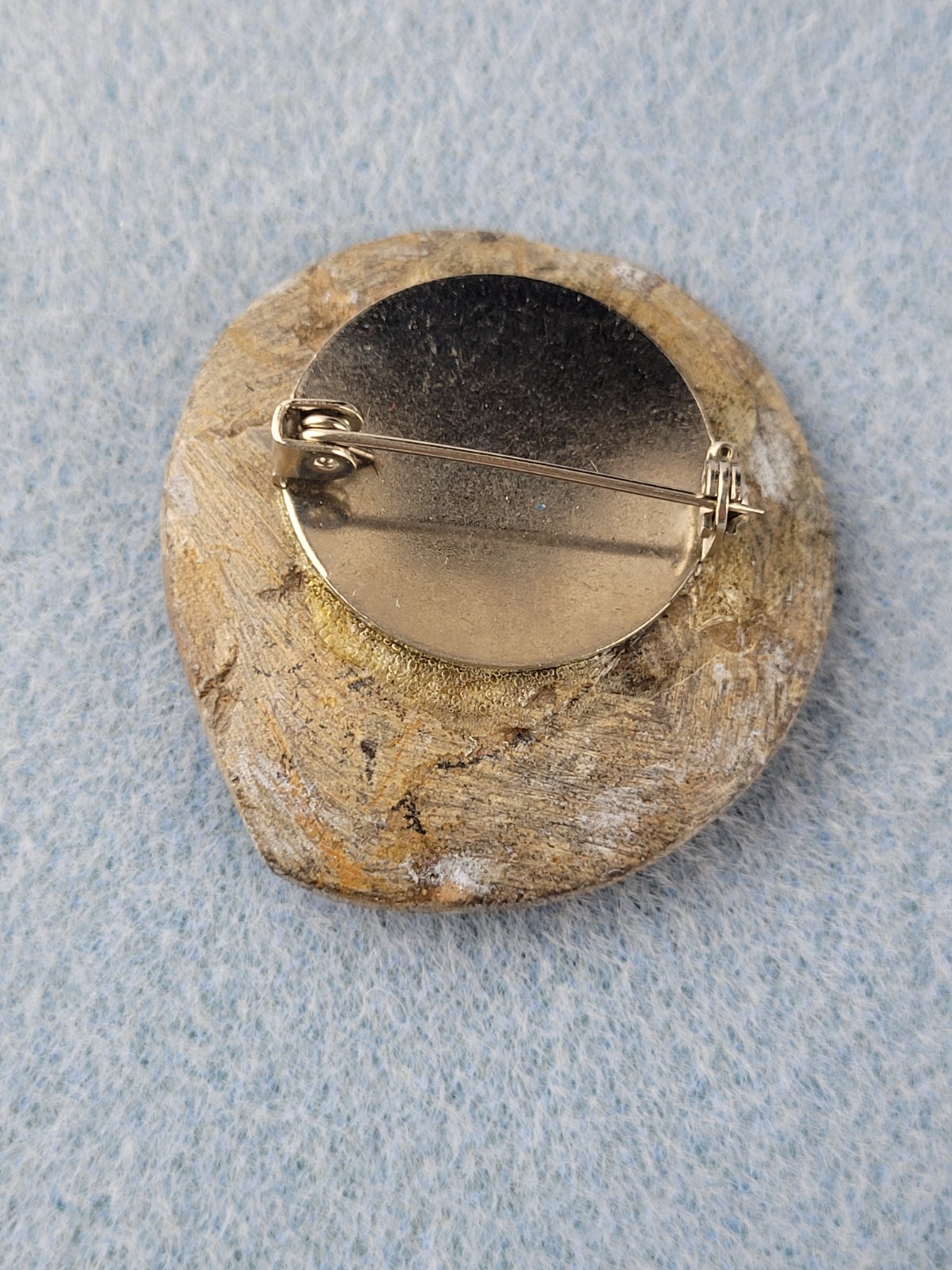 Ammonite Fossil Brooch READ Darker In Person