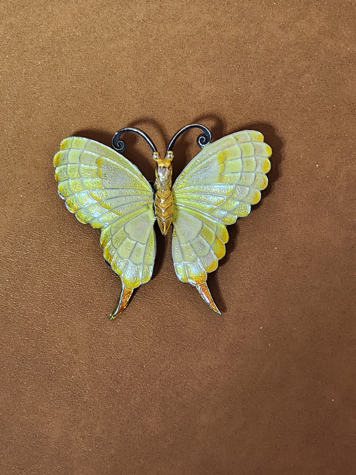Vintage Butterfly Brooch with Detailed Wings Light Yellow Enamel Finish 2″x 2.5″
