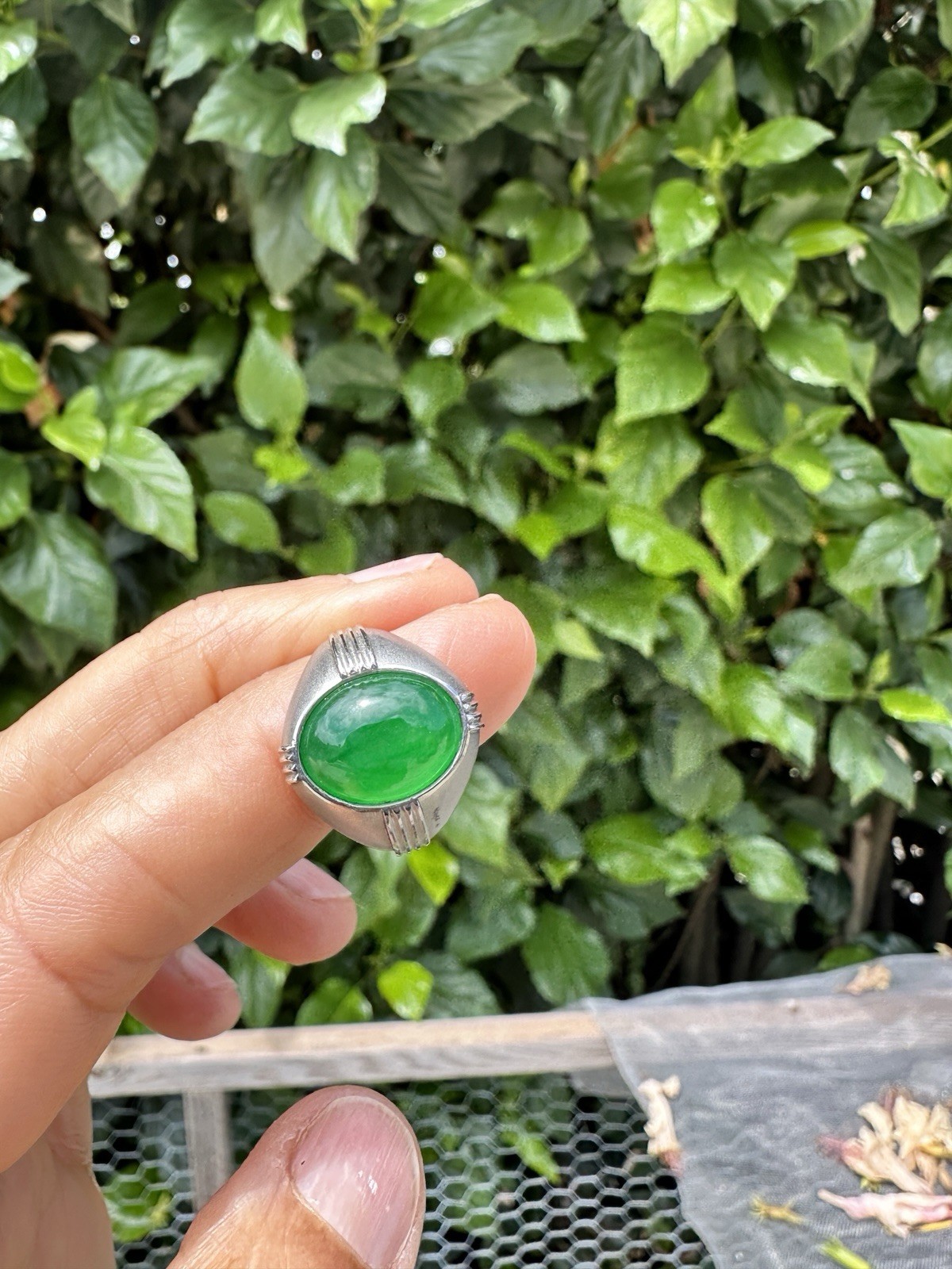 Art Deco, Translucent Vivid, Green 7.5 Carat Jadeite Platinum Ring