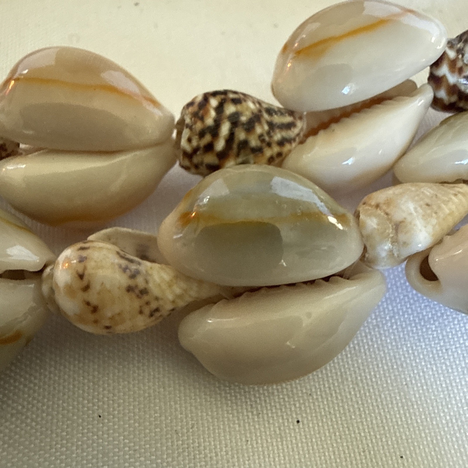 2 Vintage Cowrie Cowry Sea Shell Necklaces Beige White Gray Set Natural Jewlery