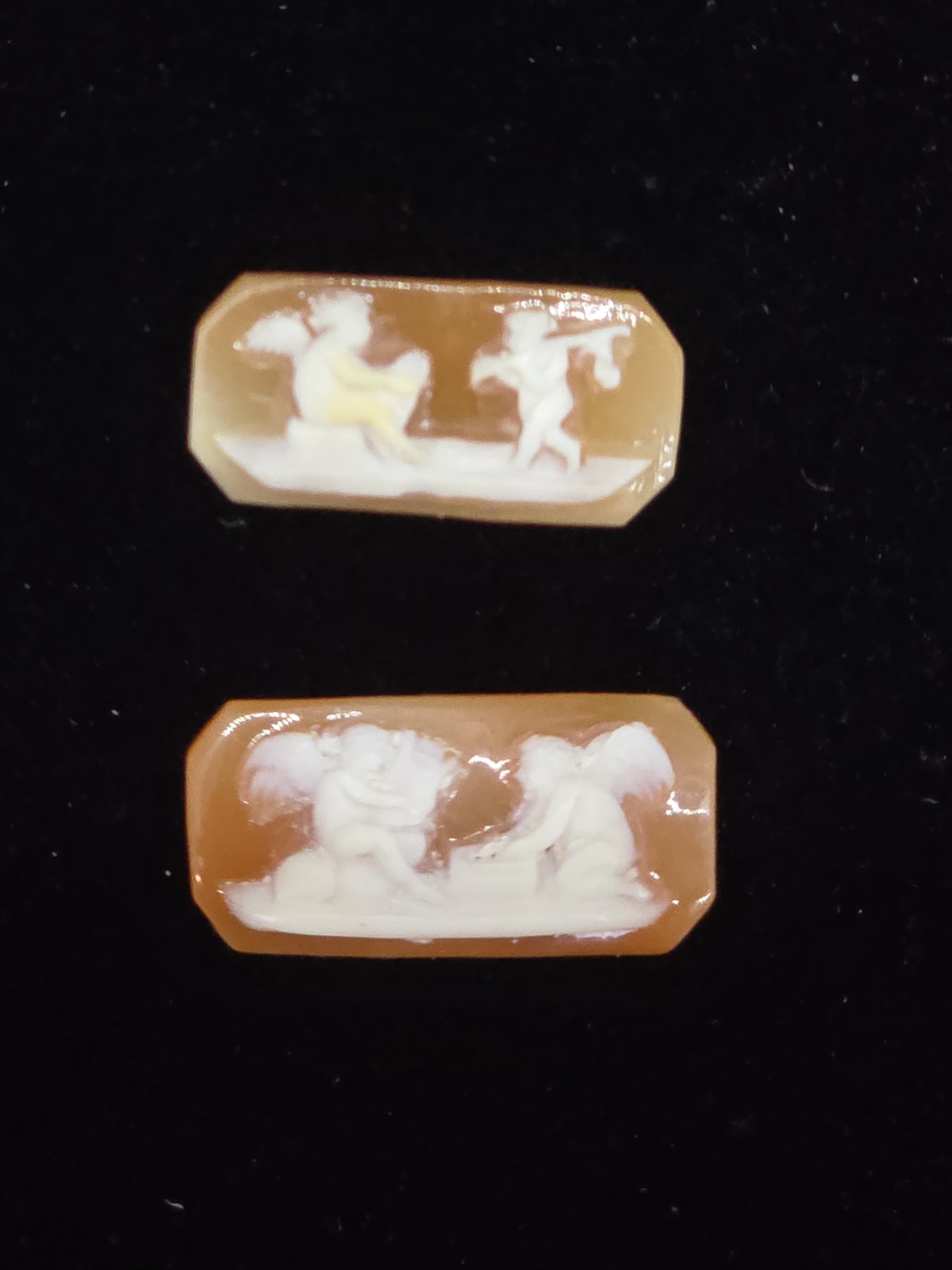 Unset Detailed Ornate Shell Cameos Cherubs Angels Chariot Horse Harp