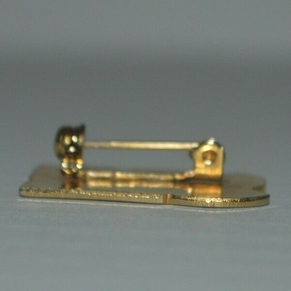 SKI Goldtone Pin with Safety Clasp