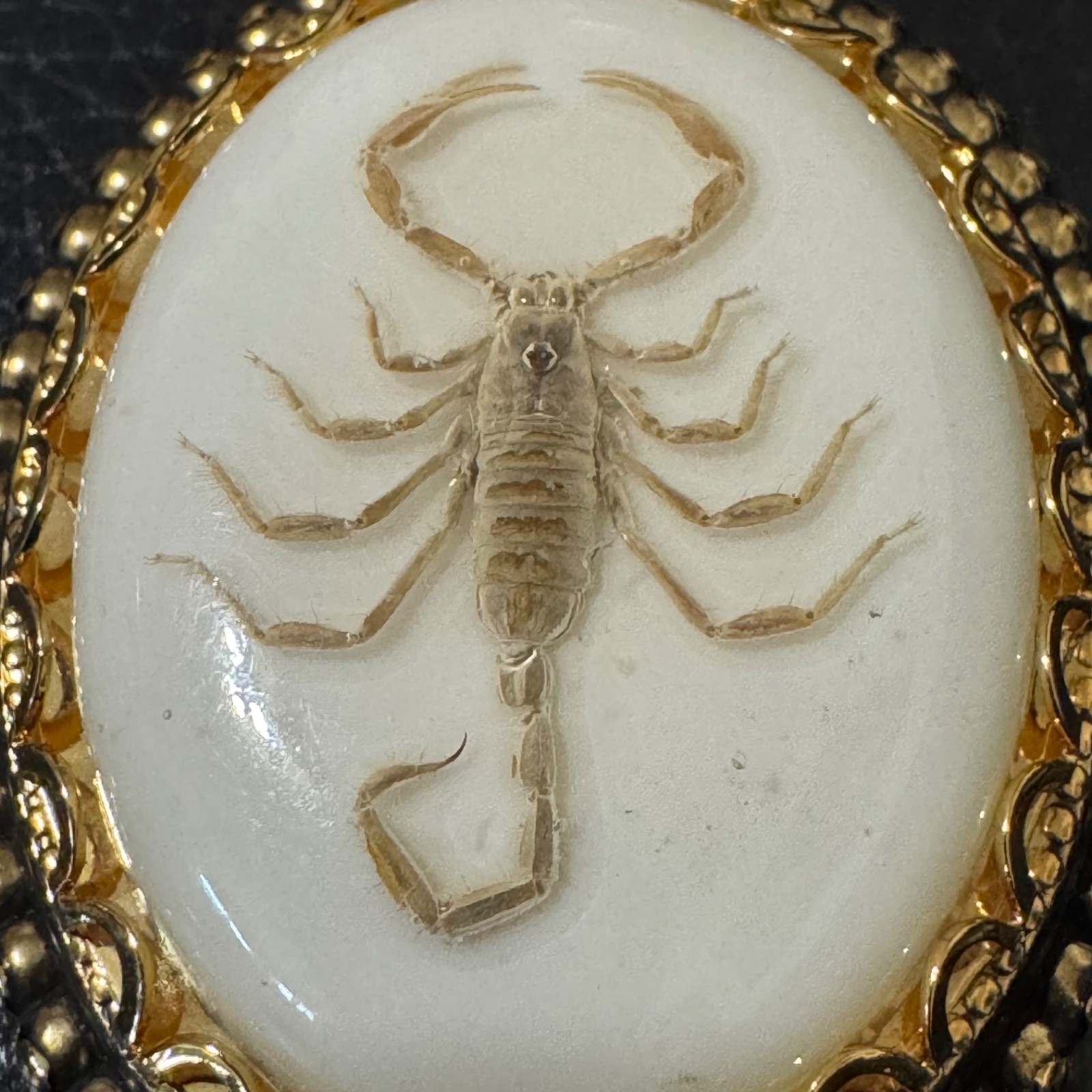 Vintage Real Scorpion Pendant Chunky Oval Scorpio Witchy Punk Goth Arachnid