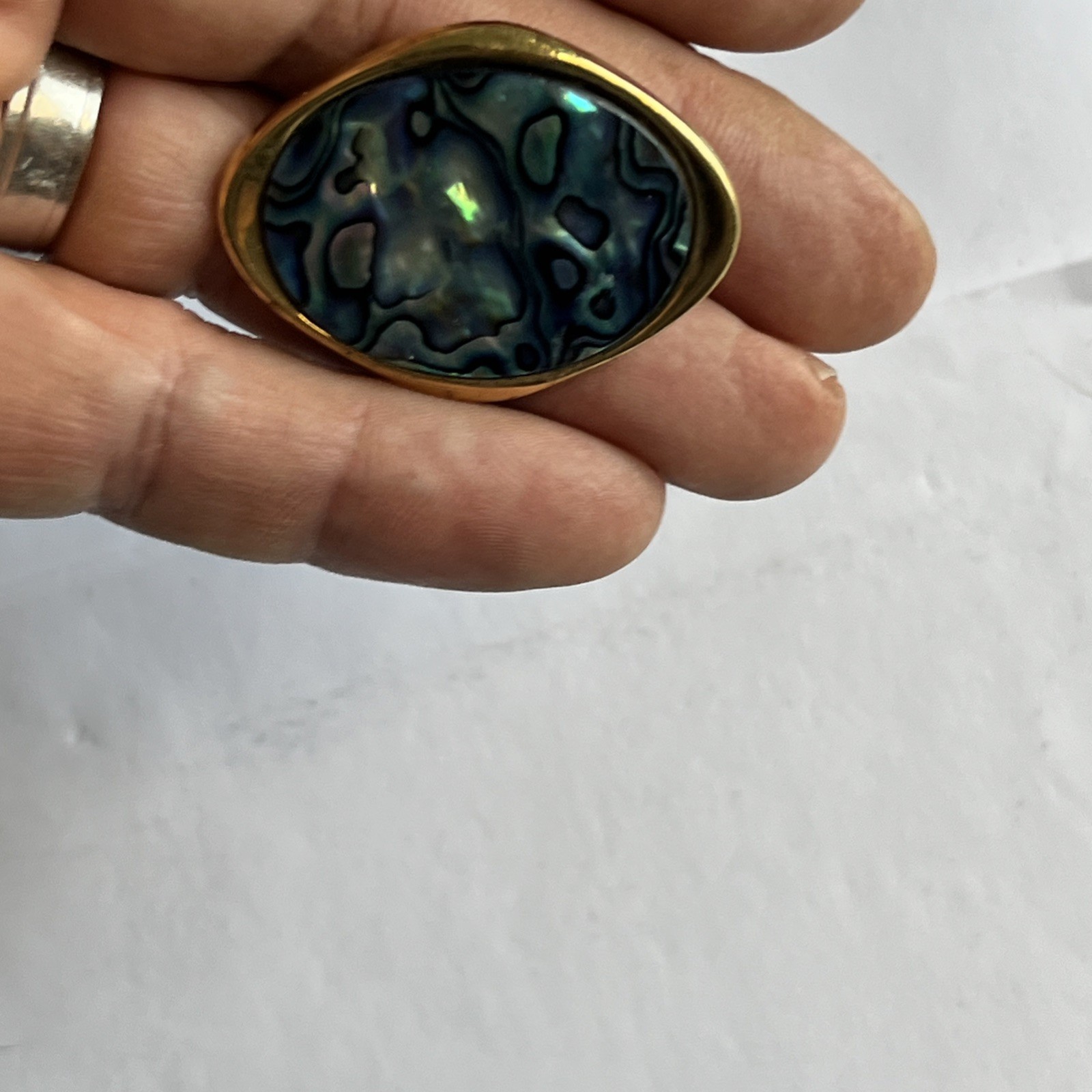 Vintage New Zealand Paua Shell ABALONE Brooch / Pin Oval