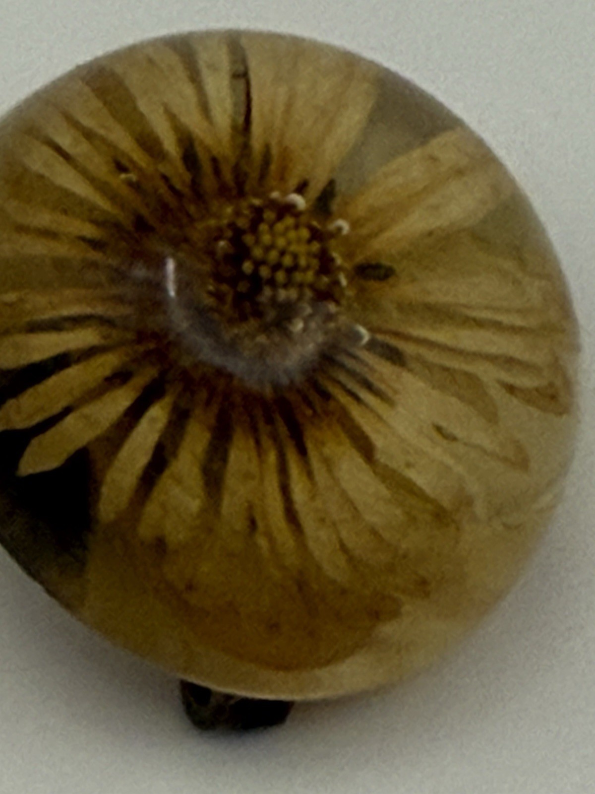 Vintage little Brooch, Flower inside cute for every day to be special , Round