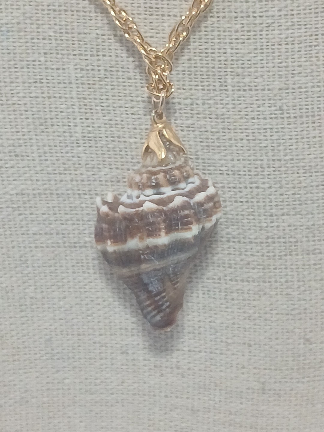 Summer Fun vintage gold tone chain natural sea shell pendant necklace