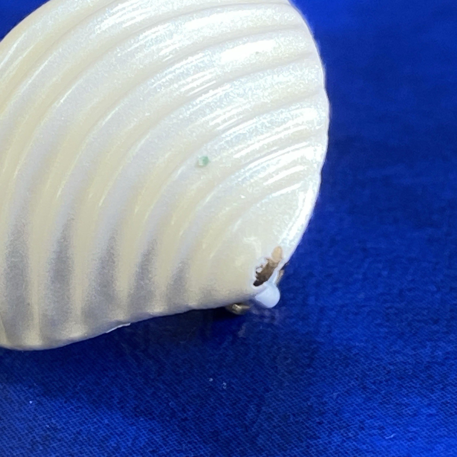 Vtg Avon Seaside Iridescent Enamel Finish on Metal Conch Shell Clip On Earrings