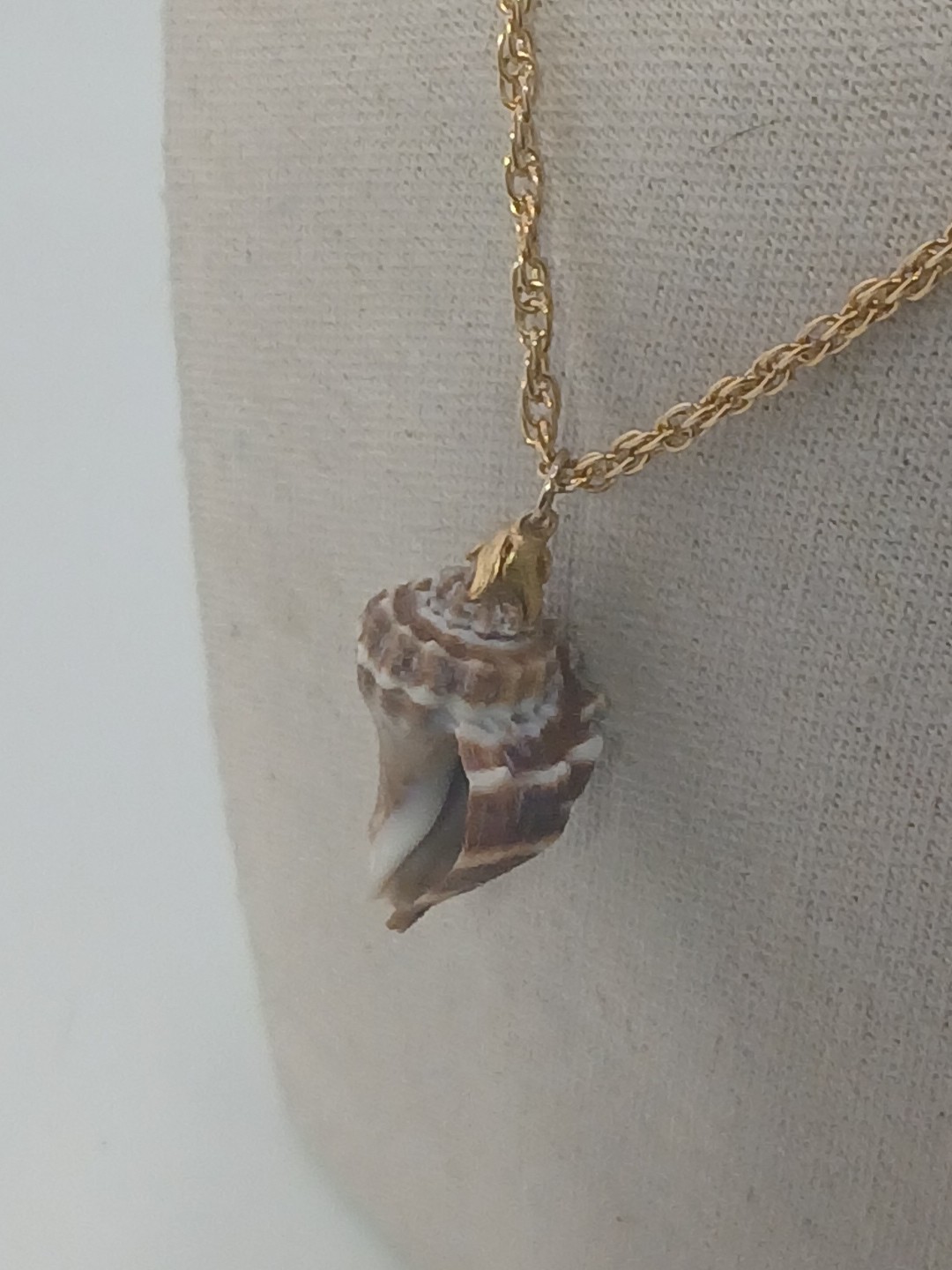 Summer Fun vintage gold tone chain natural sea shell pendant necklace