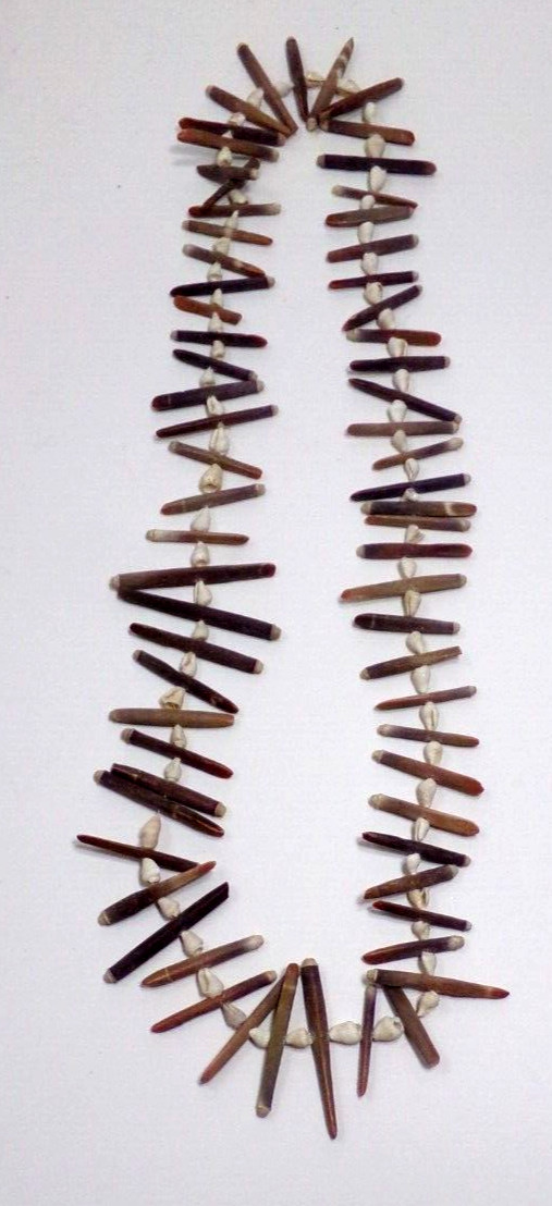 Beach Shell Necklace 32″ Long Natural Coastal Style JZ23