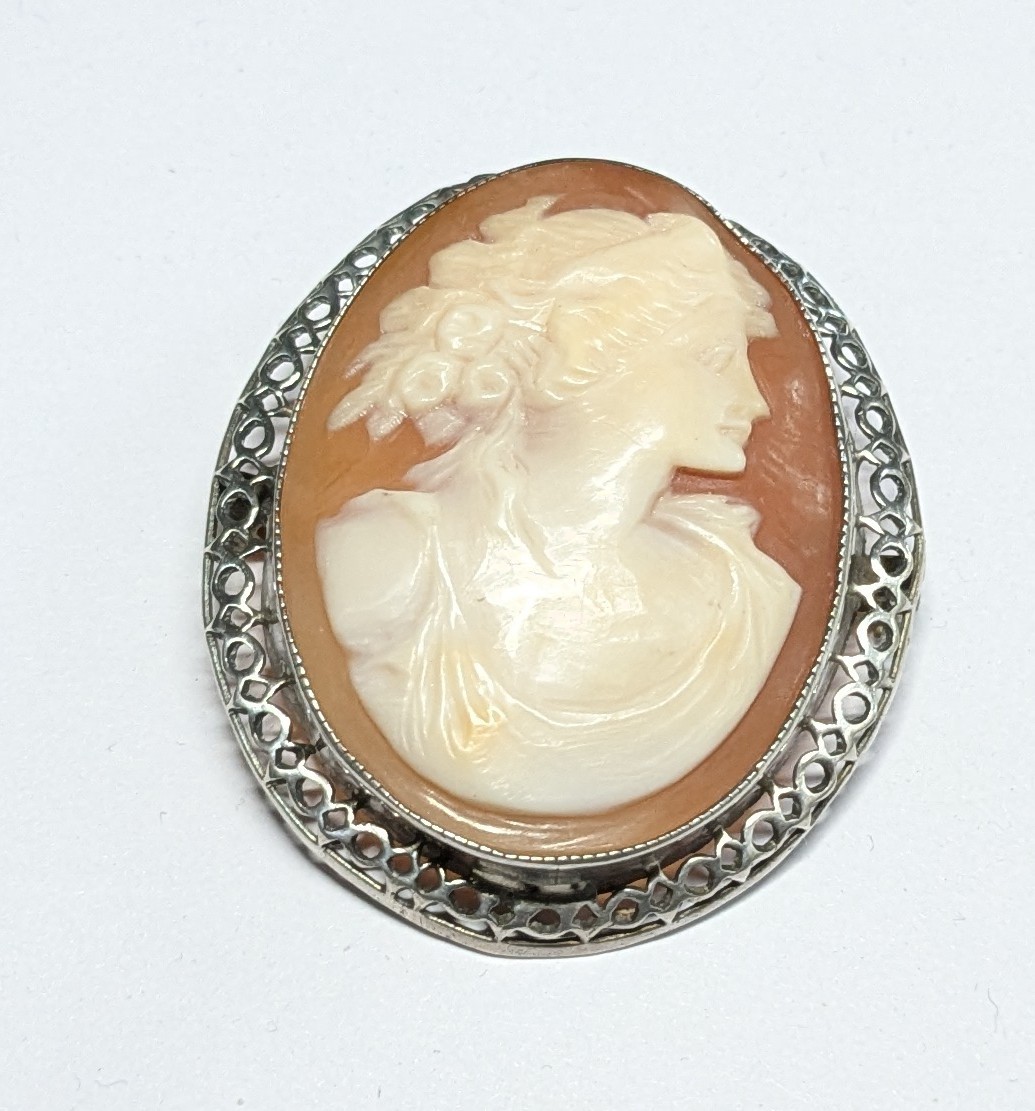 Vintage Silver Color Shell Cameo Pin Lady With Safety Clasp (AK)