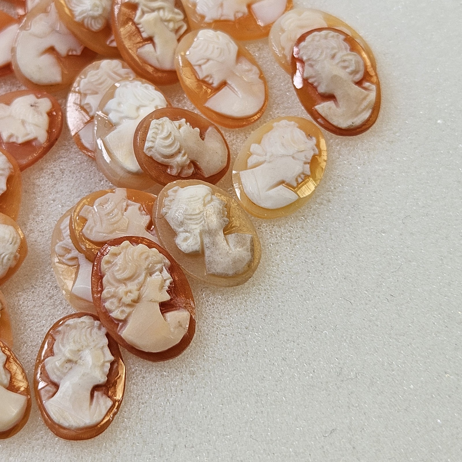 Lot Of 5 Genuine Natural Carved Shell Cameos Conch Shellnew Old Stock Unmounted