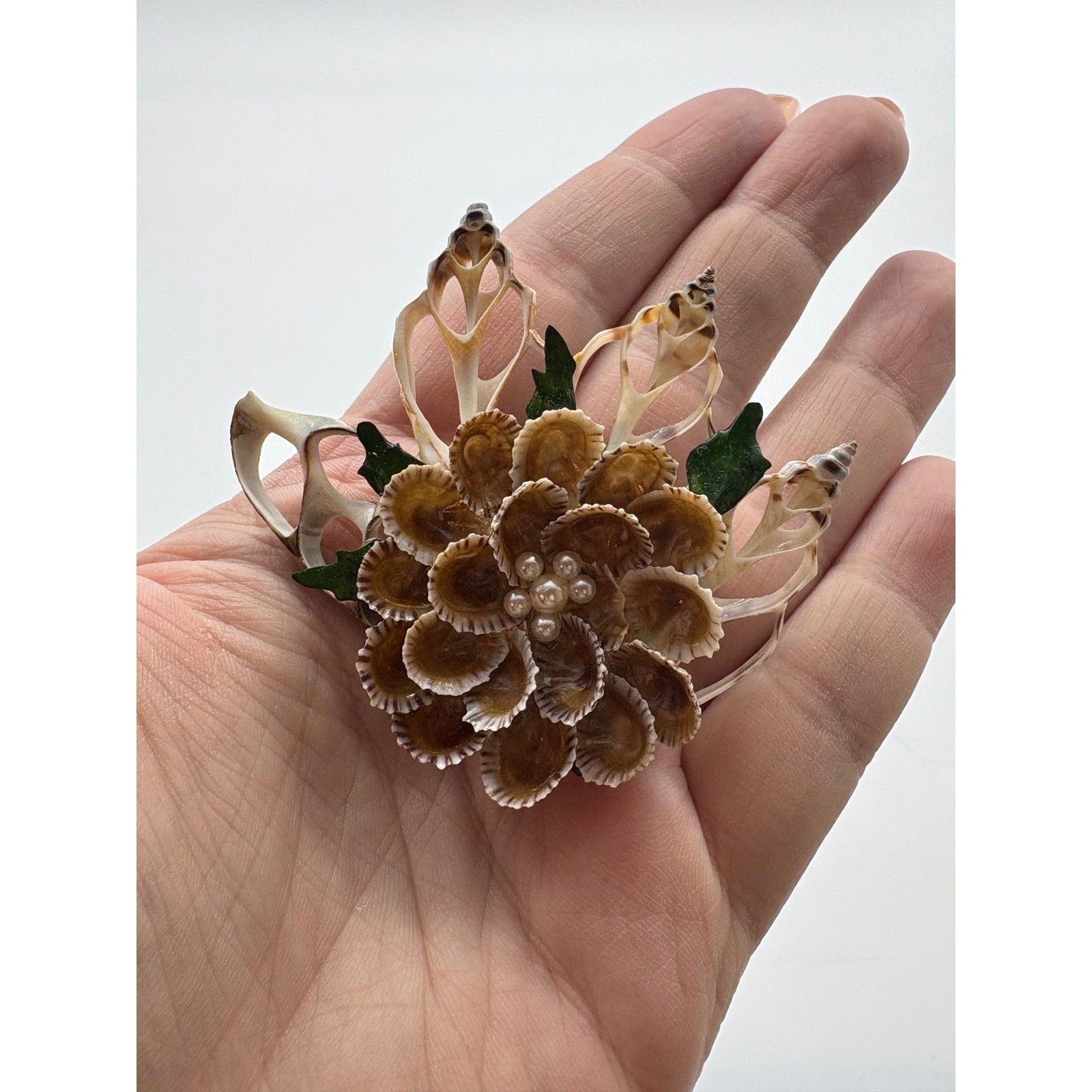 Vintage Natural Sea Shell Flower Brooch with Faux Pearl Accents Coastal Pin