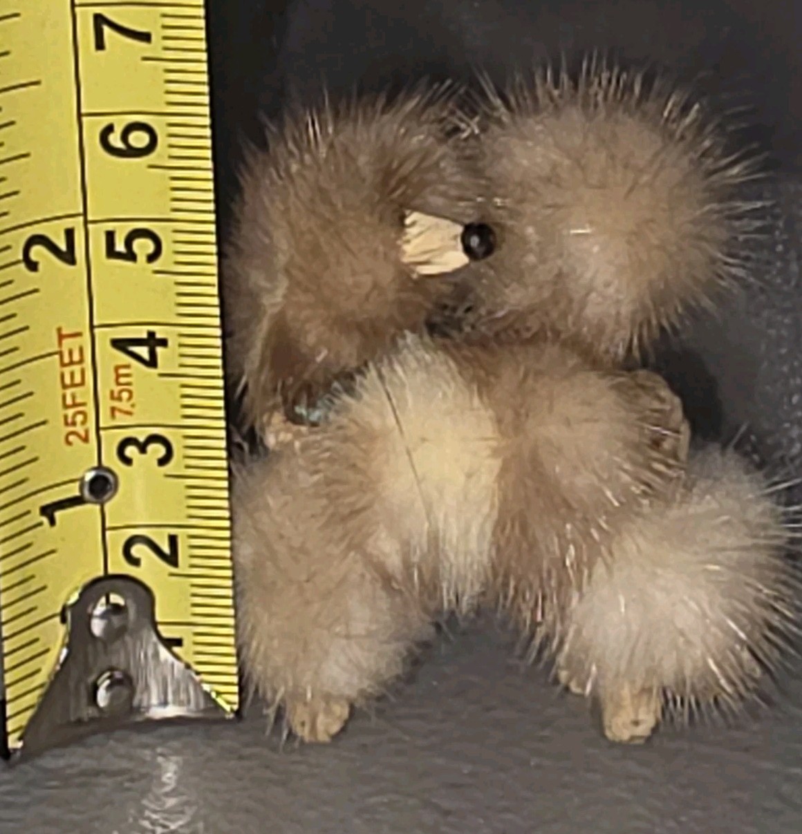 Vintage Mid-Century-Modern Mink? Brown Fur Poodle Brooch Approximately 2″x 2″