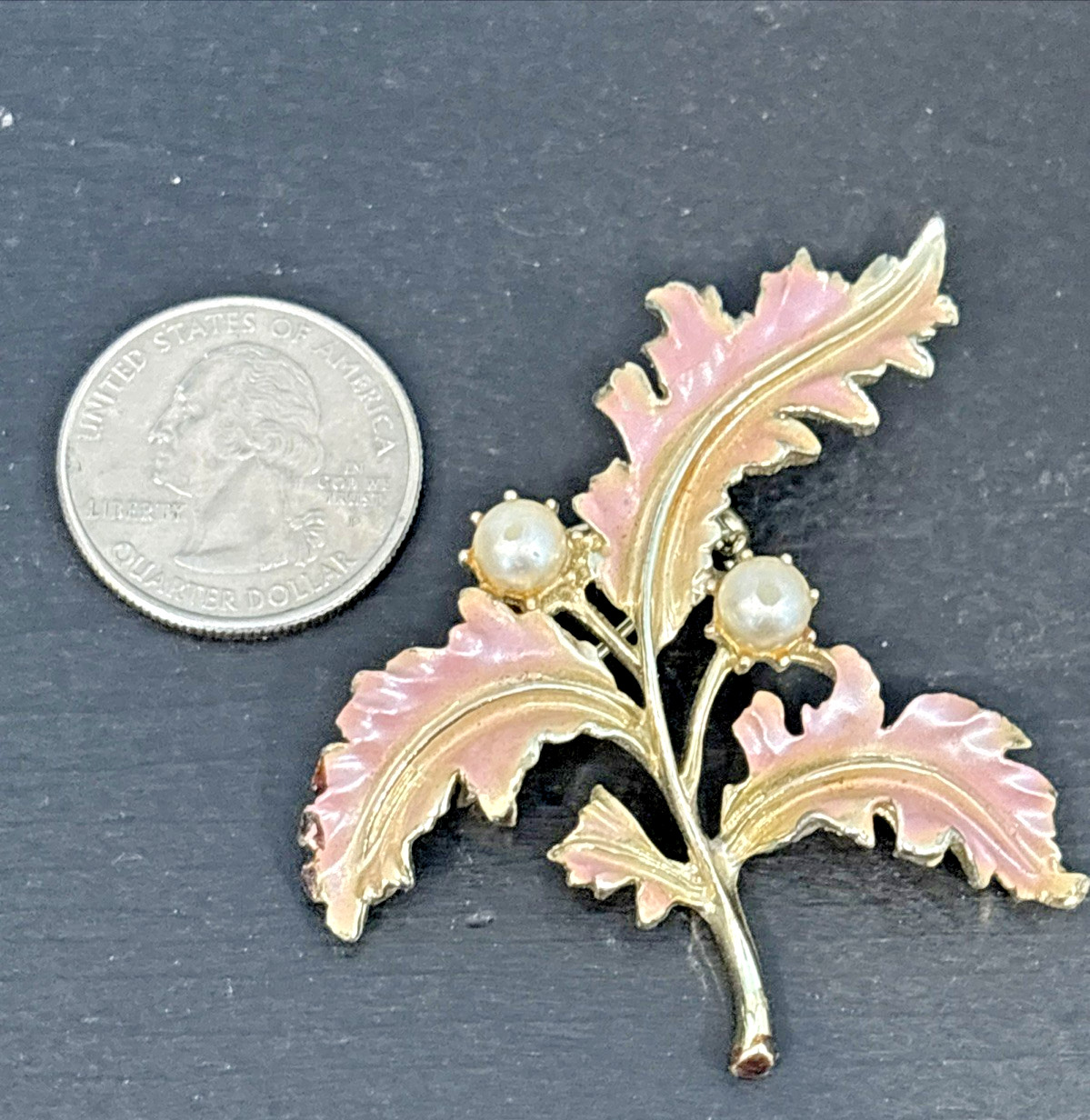 Lot 12 Fashion Jewelry Pins Vintage Now Faux Pearls Shell Leaf Leaves Flowers