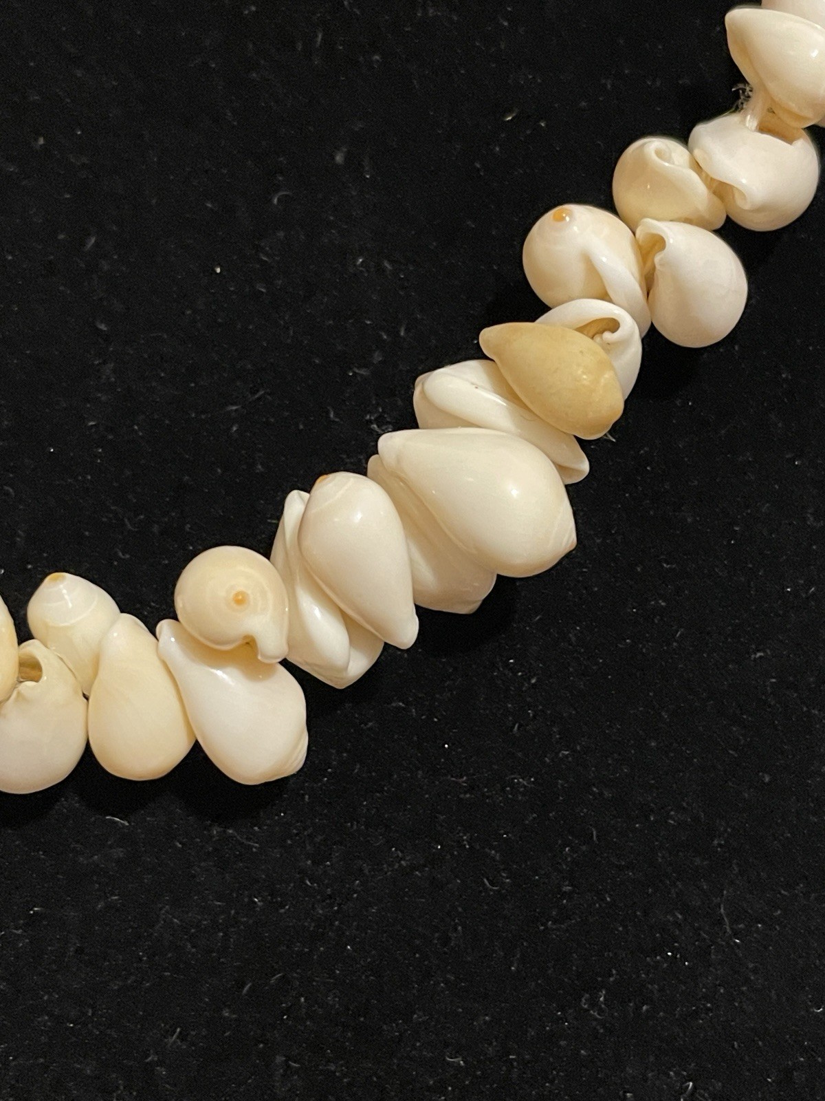 Vintage Real Hawaiian Whole Puka Shell Lei Choker Necklace 15″ Concha Pukka