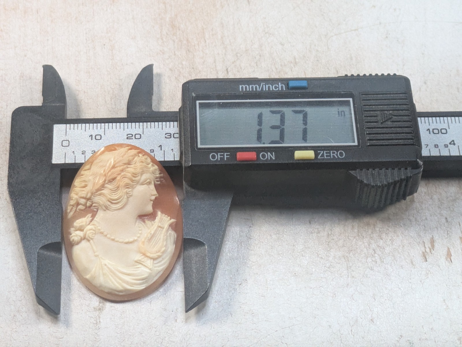 Cameo Carved Loose 45mm X 35mm Shell (5.3g)