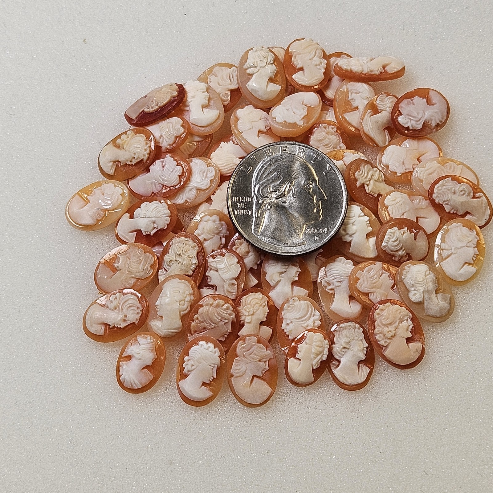 Lot Of 5 Genuine Natural Carved Shell Cameos Conch Shellnew Old Stock Unmounted