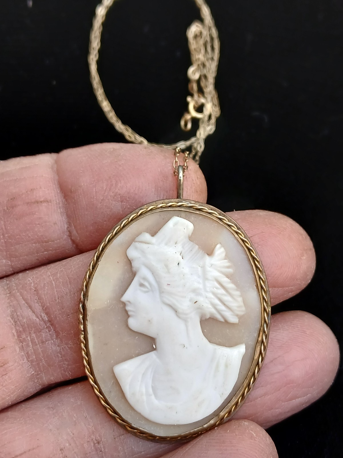 19th Century Carved Shell Portrait Cameo Pendant Necklace Gold Filled Chain Oval