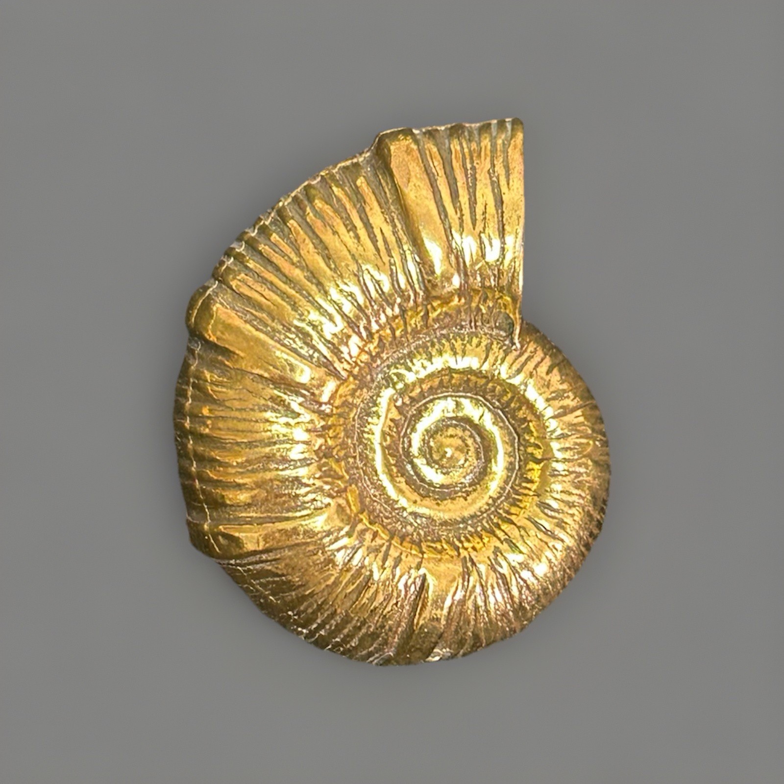 Vintage Zentall Ammonite Nautilus Shell Brooch Gold Tone Fossil 1.25”