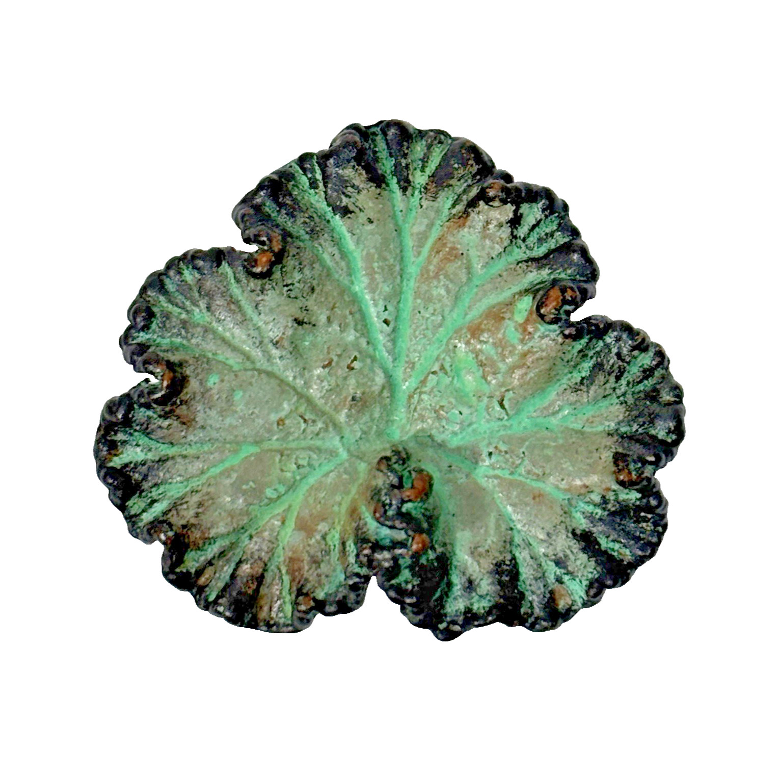 Nature’s Creations Lot of 2 Brooch Pin Copper Arborvitae Thujas & Geranium Leaf