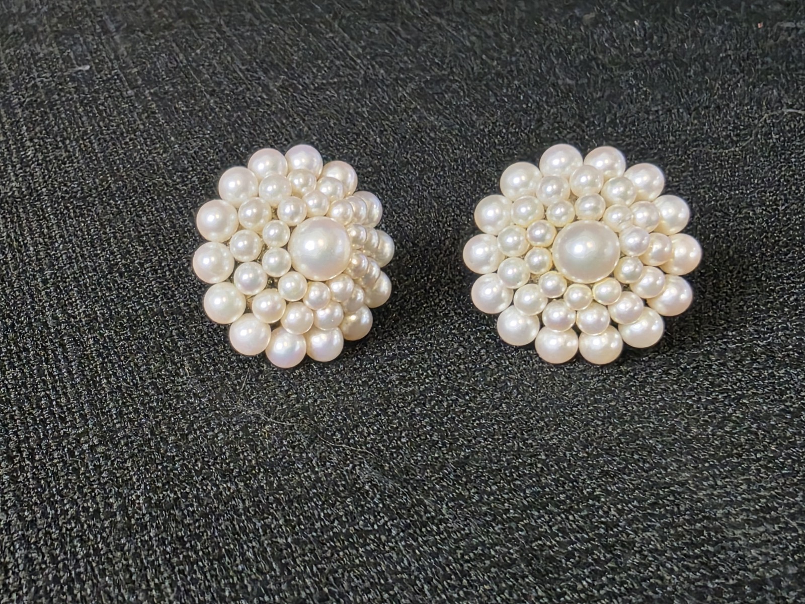 Vtg 1950s Mikimoto 38 Pearl W/ Silver Screw Back Earrings