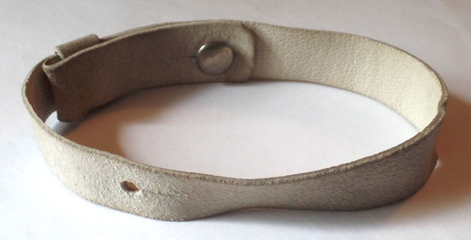 Vintage Gothic Suede Leather Neck Choker (Not sure if it’s for a pet or person)