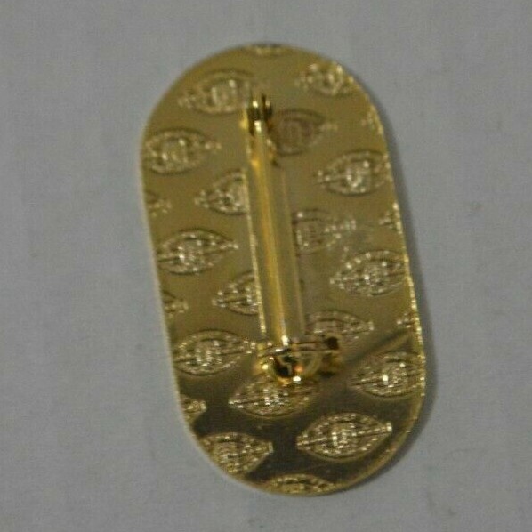 Snow Summit Oval Pin with Safety Clasp