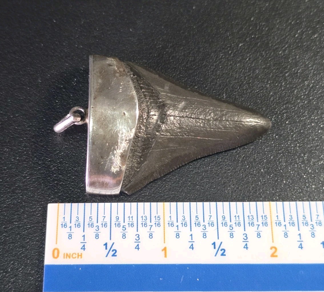 Vintage Mid-Century Brutalist Sterling Silver Fossil Shark Tooth Pendant