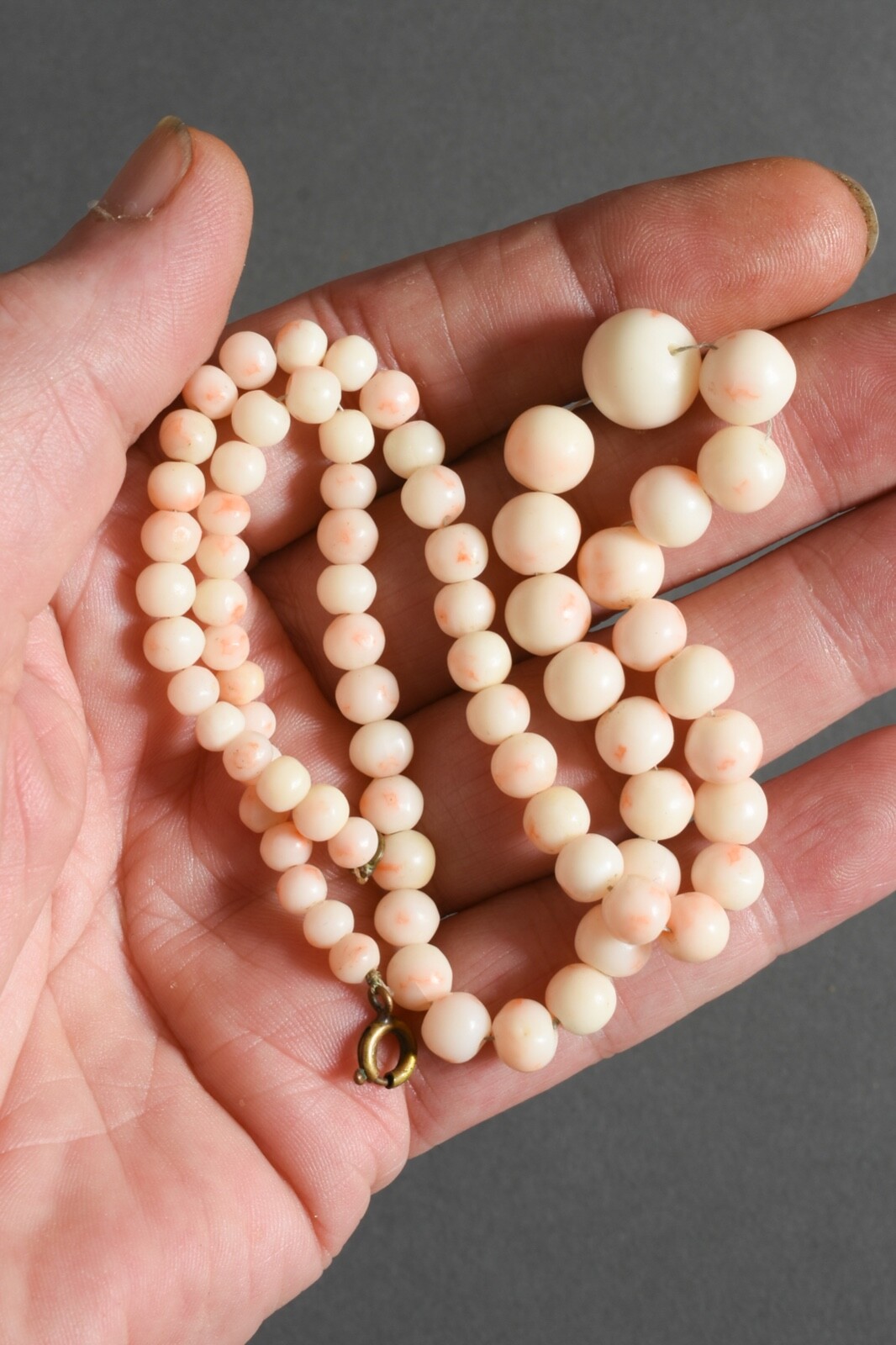 Vintage graduated Genuine Natural Angel skin Coral necklace !