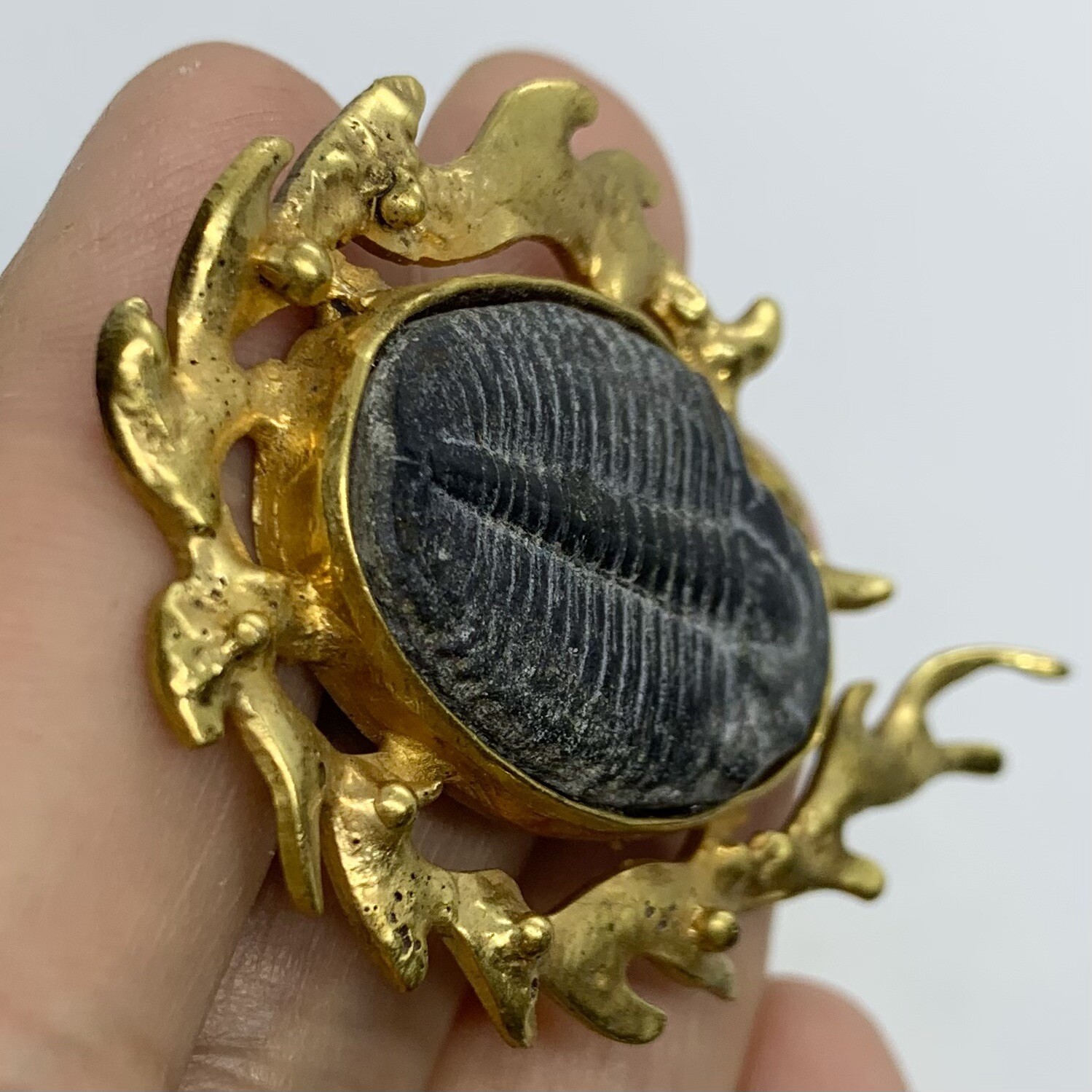 VTG SIGNED STEFANO TANASESCU MEXICO TRILOBITE FOSSIL BRUTALIST RARE BROOCH PIN
