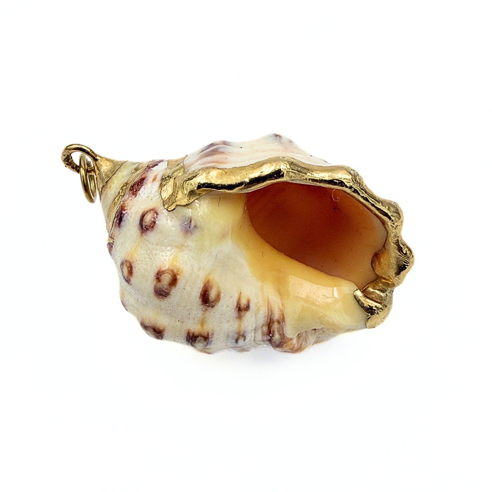 Beach Vibe! Natural Sea Shell Gold Plate Boho Pendant