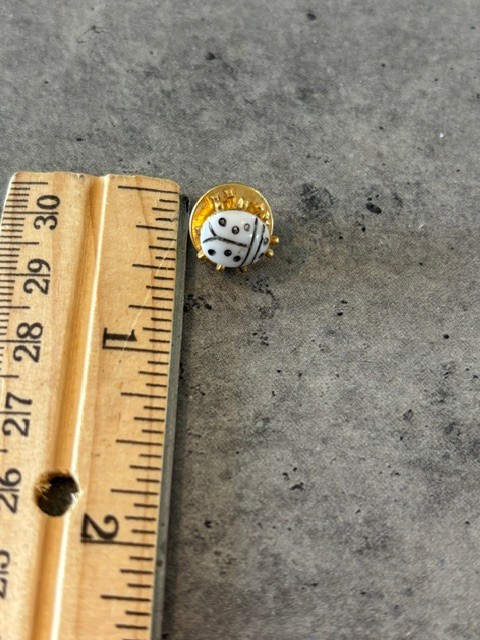 Lot Of 6 Vintage Lady Bug and other bug/insects Brooch Pin
